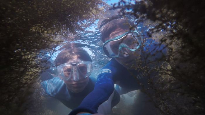 Two snorkelers explore underwater terrain, surrounded by aquatic plants.