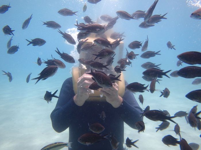 A person snorkels underwater surrounded by fish in the clear waters of Cyprus.