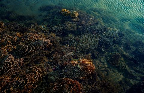Way Pretty Shallows Indonesia