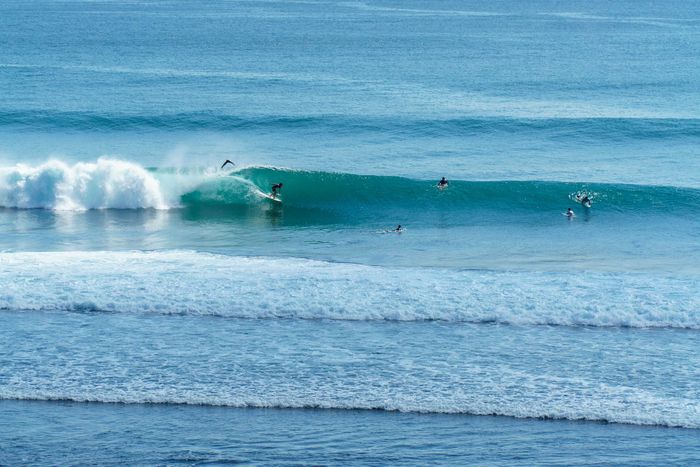 Surfers catching waves in the vibrant ocean of Bali, Indonesia, showcasing adventure and thrill.