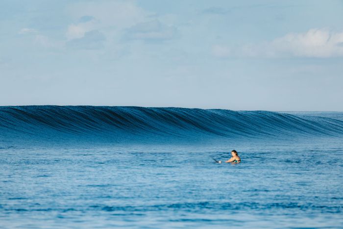 A lone surfer paddles in the calm blue ocean with beautiful waves in West Sumatra.