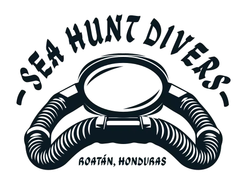 Sea Hunt Divers