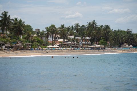 Coconut King Point Sri Lanka
