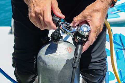 La Dive Bouteille France