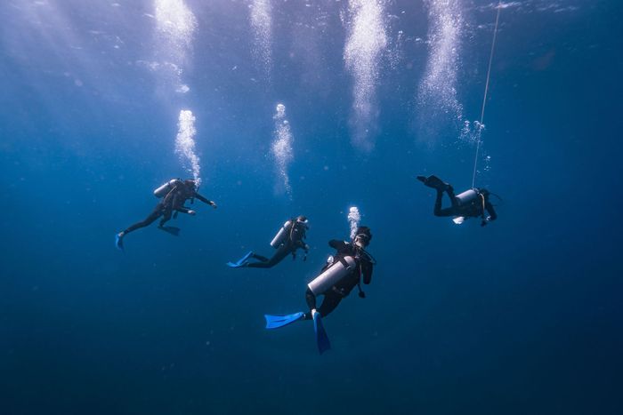 Group of scuba divers underwater in Isla Mujeres, Mexico, exploring the ocean depths.