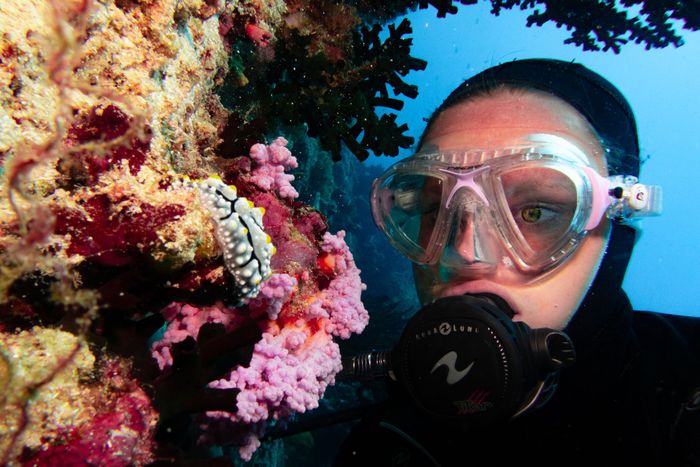 Diver observing colorful coral and marine life underwater, featuring vibrant coral and aquatic exploration.