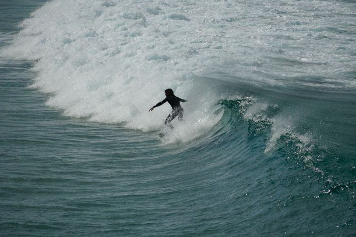 Experience the thrill of surfing at Bondi Beach with a surfer skillfully riding a breaking wave.