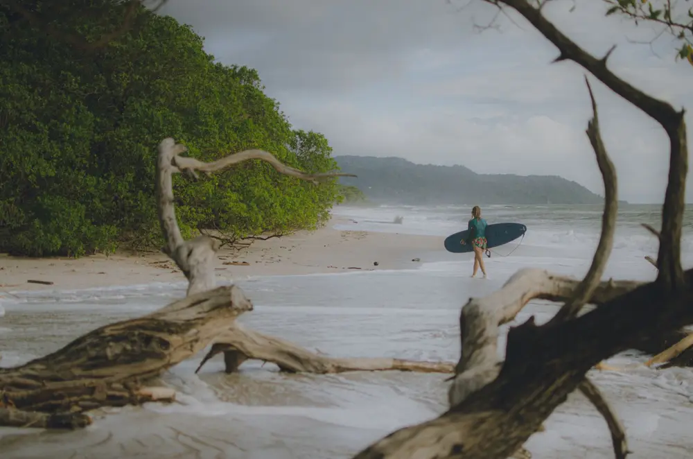 Dr. Ding's Surfboard Repair Shop