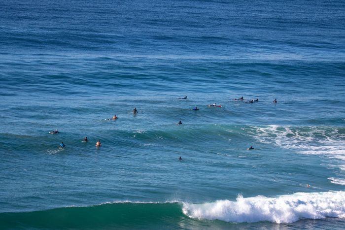 Surfers gathered in the ocean, waiting for the perfect wave to ride under a clear sky.