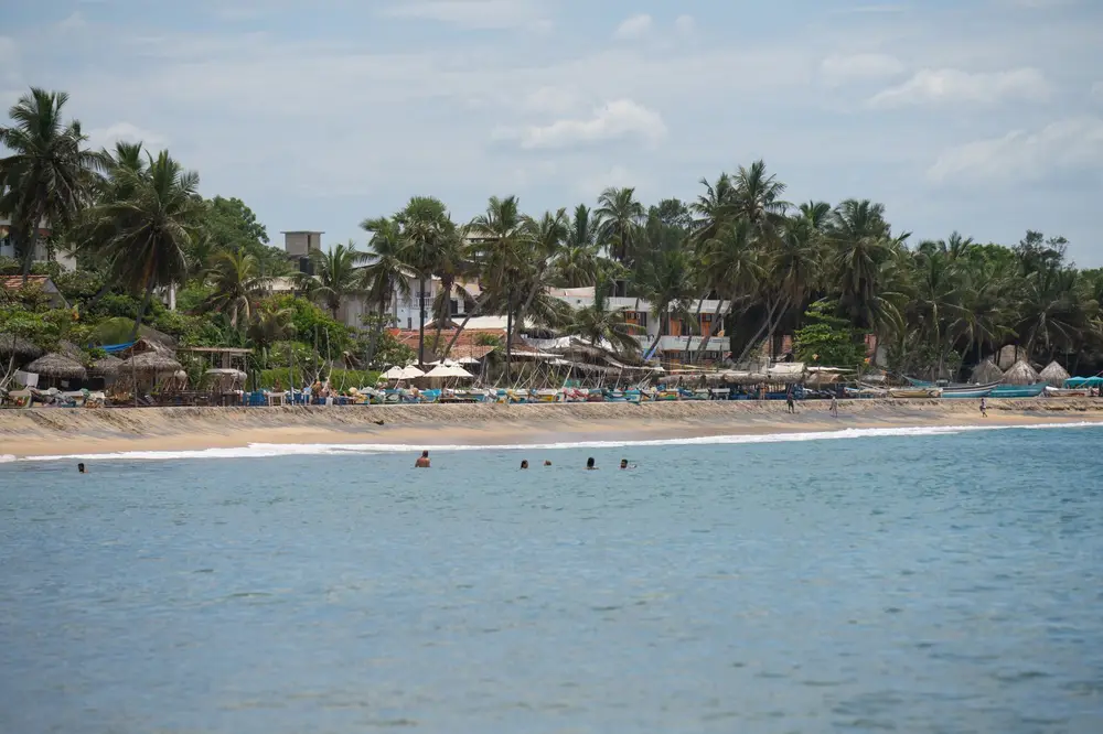Coconut King Point
