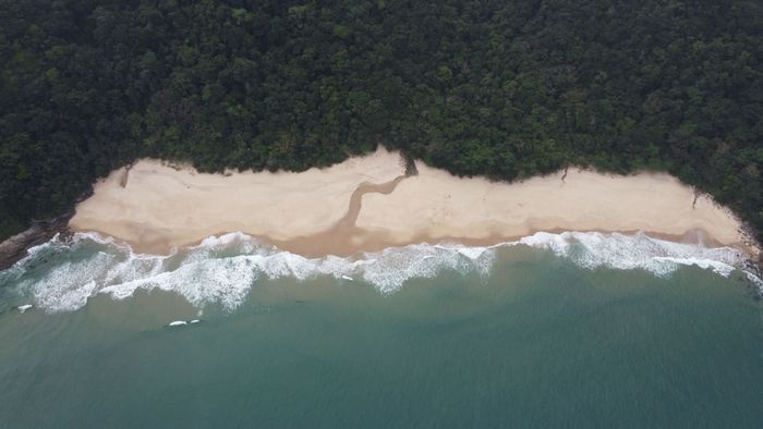 Stunning aerial shot of Praia do Bonete's sandy beach and lush forest in SP, Brazil.