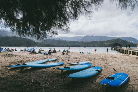 Hanalei Surf Co. Estados Unidos
