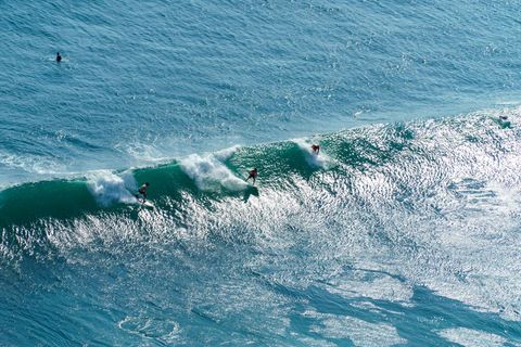 The Reef Indonesia