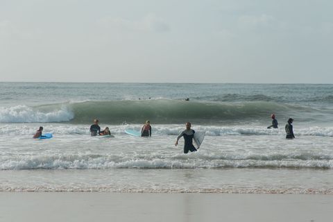 Surf Harmony França