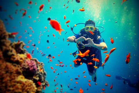 Ko Thian - Scuba Diving Thailand