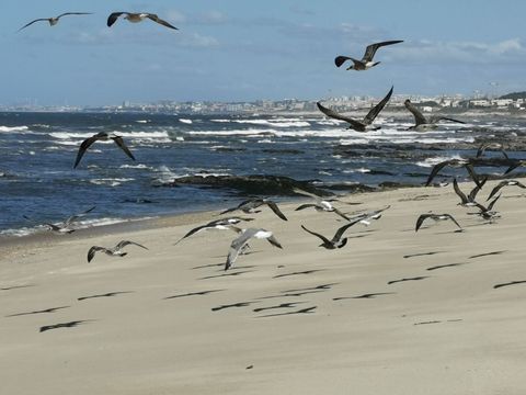 Vila Praia de Ancora Portugal