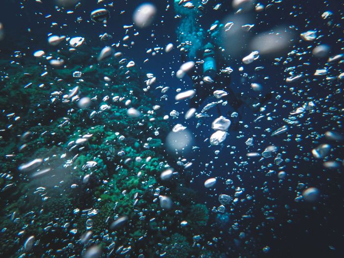 A stunning underwater scene featuring bubbles, a diver, and coral reefs.