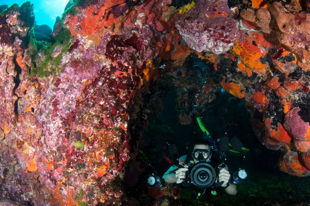 Anglin’s Pier Reef
