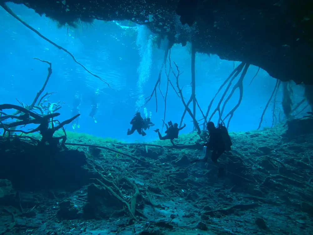 Cenote Dos Ojos