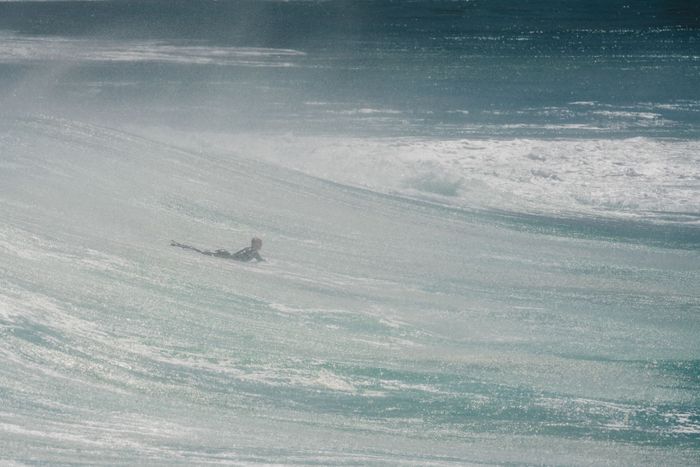 Lone surfer braves the majestic waves, capturing the essence of ocean adventure.