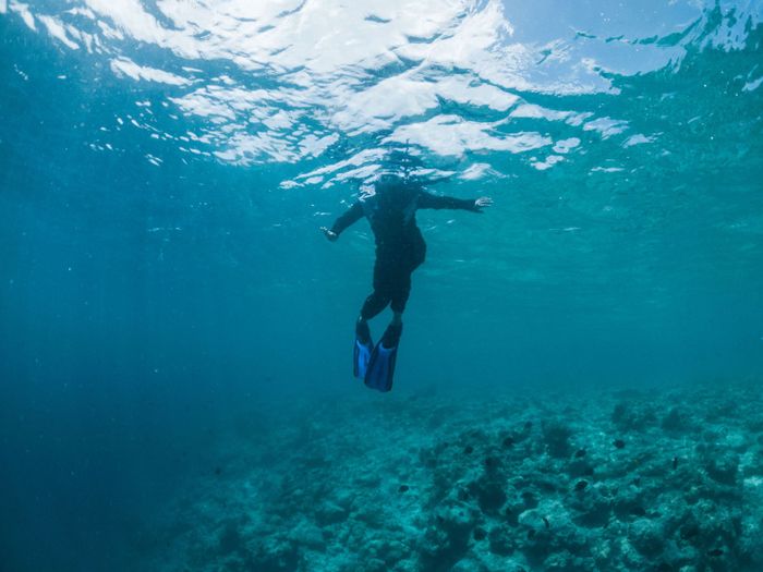 Underwater shot of anonymous snorkeler in flippers and wetsuit swimming in transparent blue seawater