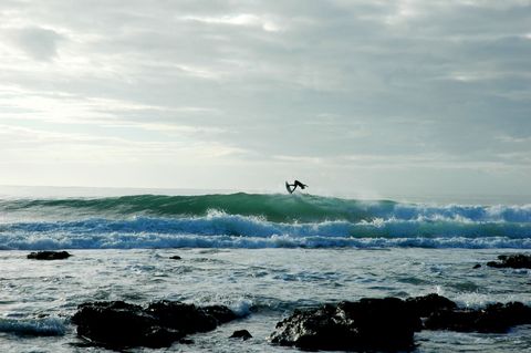 Albatross África do Sul