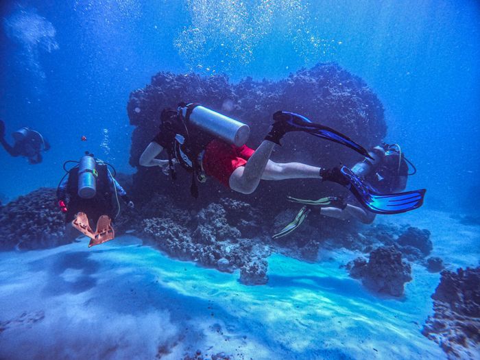 Three scuba divers explore a colorful coral reef, showcasing marine life and underwater adventure.