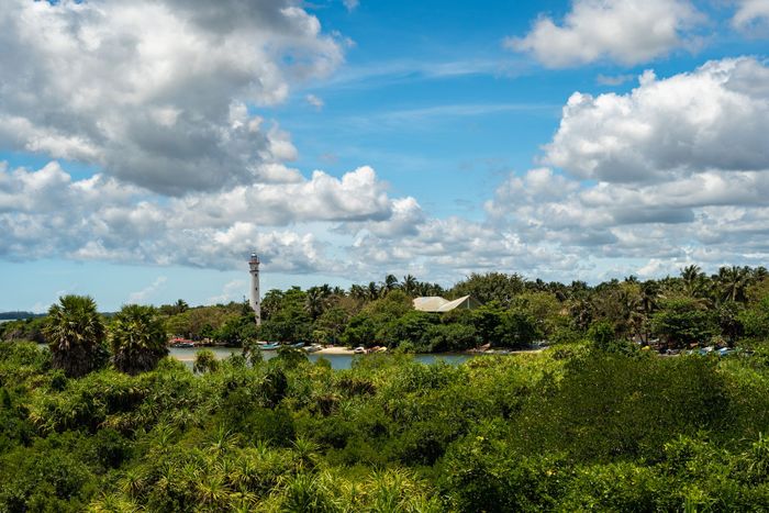 A beautiful landscape of Batticaloa Lagoon with a lighthouse and lush greenery under a clear sky.