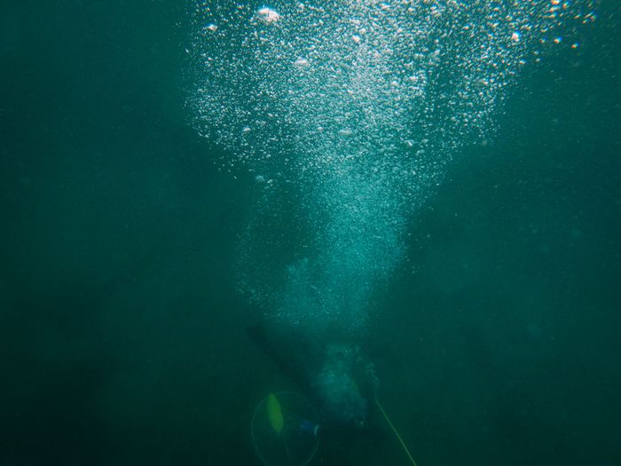 A scuba diver creates a trail of bubbles while exploring the deep ocean underwater.