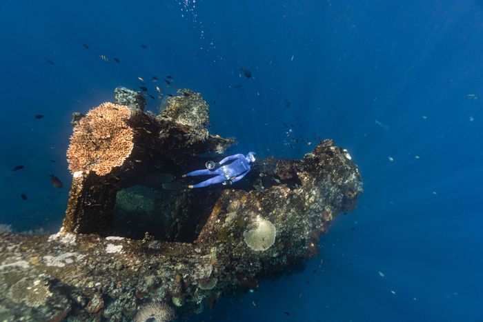 Diver exploring a coral-covered shipwreck in clear blue ocean waters.
