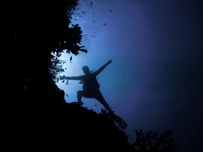 A scuba diver silhouetted against the deep blue ocean, exploring coral reefs in the Maldives.