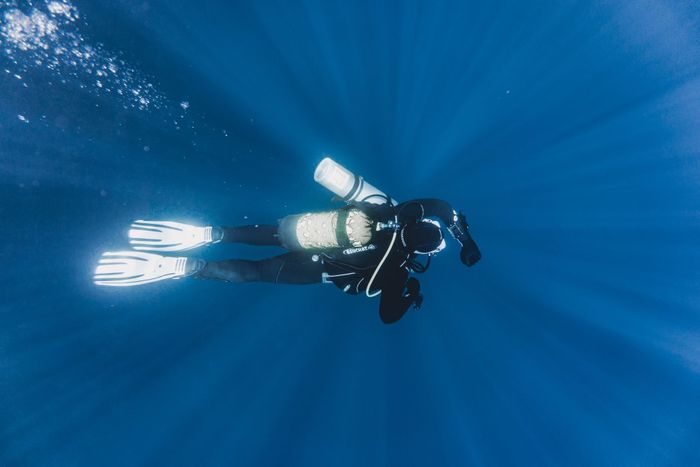 From above of fit anonymous diver in flippers with oxygen cylinder on back exploring blue ocean water with bubbles during vacation