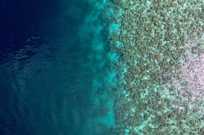 Aerial view of vibrant coral reefs and deep blue sea in Meedhoo, Maldives, showcasing natural beauty.