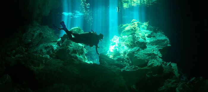 Scuba diver explores serene underwater coral formations illuminated by natural light rays.