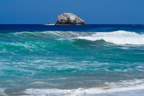 The Rock Mexico