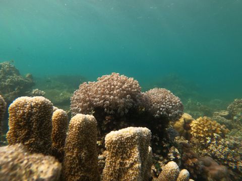 Hilutungan Sanctuary Philippines