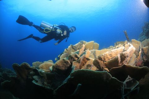 Zona de Buceo 1 Colombia
