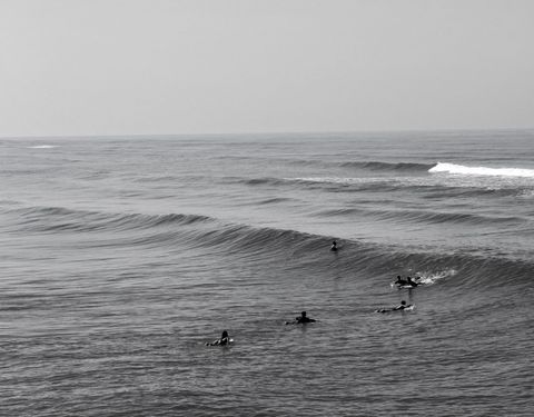 Surf & Co. Brasil