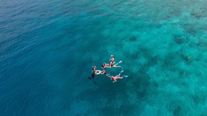 Aerial shot of a group snorkeling in clear turquoise waters near Dhonfanu, Maldives.