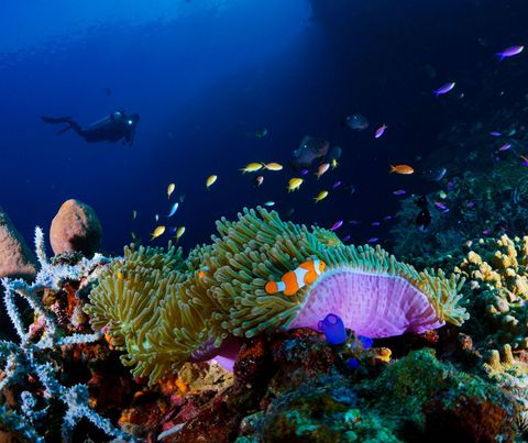 Moofushi Maldivas
