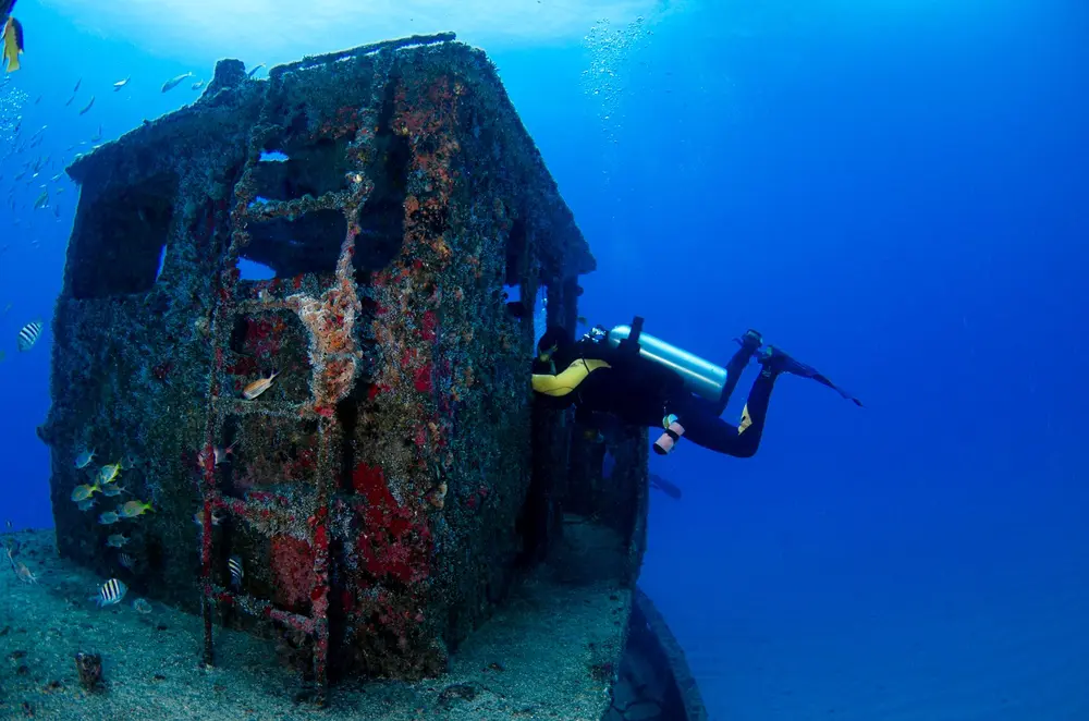 Avalon Dive Park