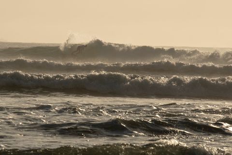 Surf-N-Fish Australia