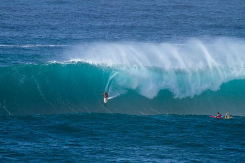 Hawaiian Island Surf and Sport Estados Unidos