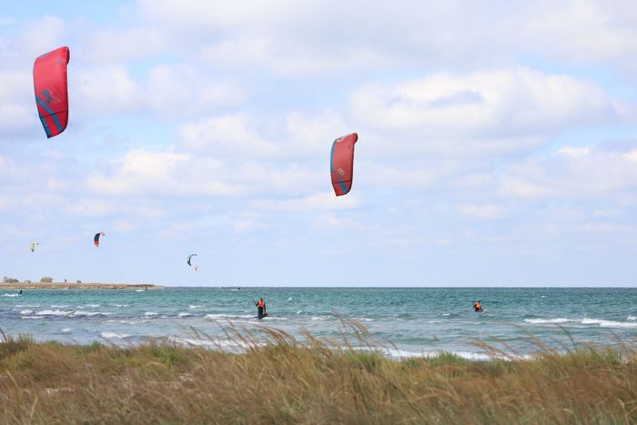 Kitesurfers enjoying a bright, breezy day on the ocean with colorful kites soaring high.