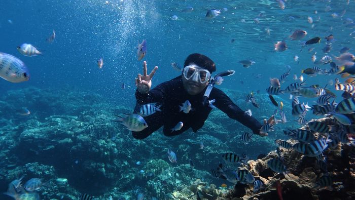 Explore vibrant marine life while snorkeling in Jawa Tengah, Indonesia.