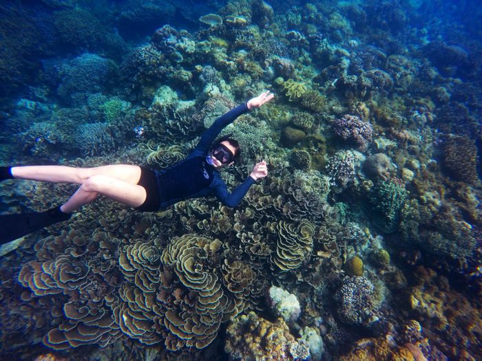 Person snorkeling over colorful coral reef in crystal clear ocean waters. Underwater exploration and marine life interaction.