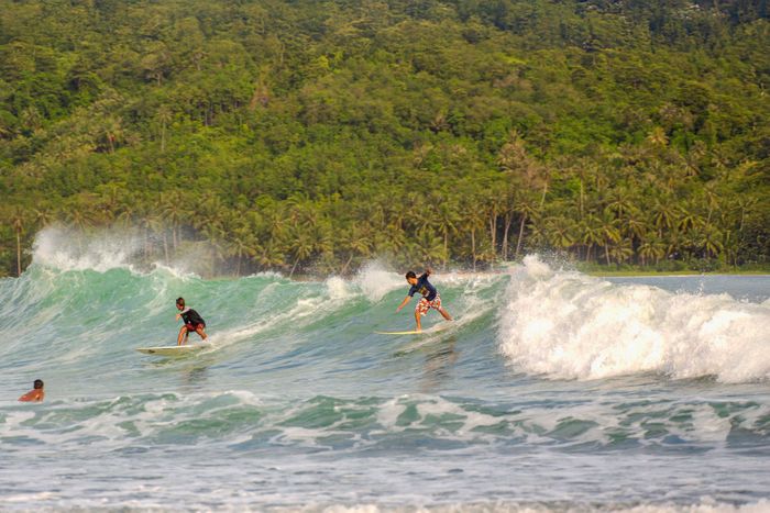 Surfers riding waves in a tropical paradise with lush forest backdrop.