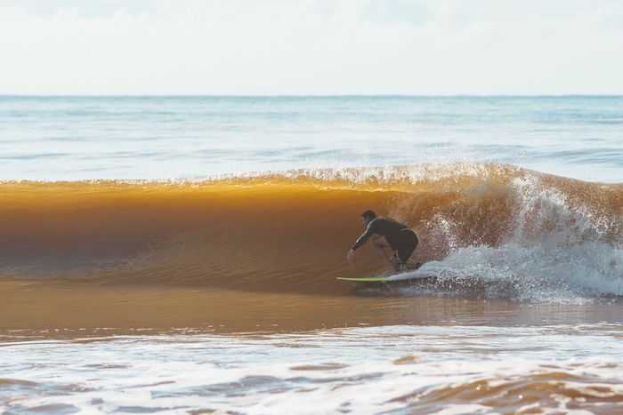 Surfer skillfully rides a wave on a bright summer day, showcasing ocean adventure.