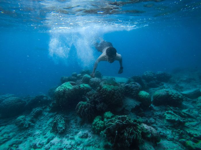 Explore the vibrant coral reefs while snorkeling underwater in Jakarta, Indonesia.