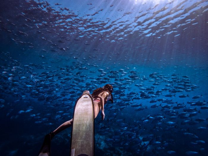 A captivating scene of a freediver swimming amongst a school of fish in Northern Mindanao, Philippines.